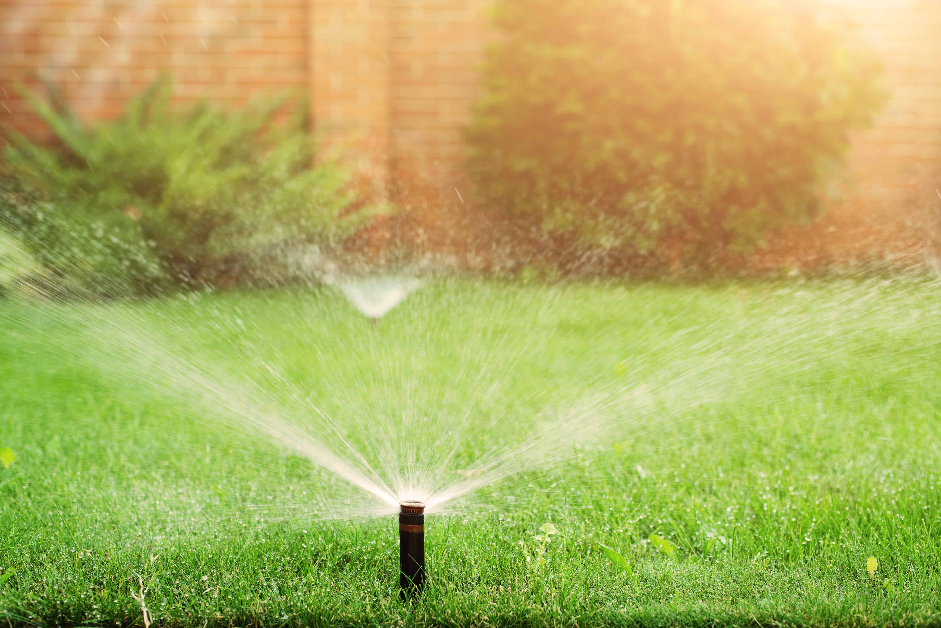 Sprinkler & Irrigation Installation image