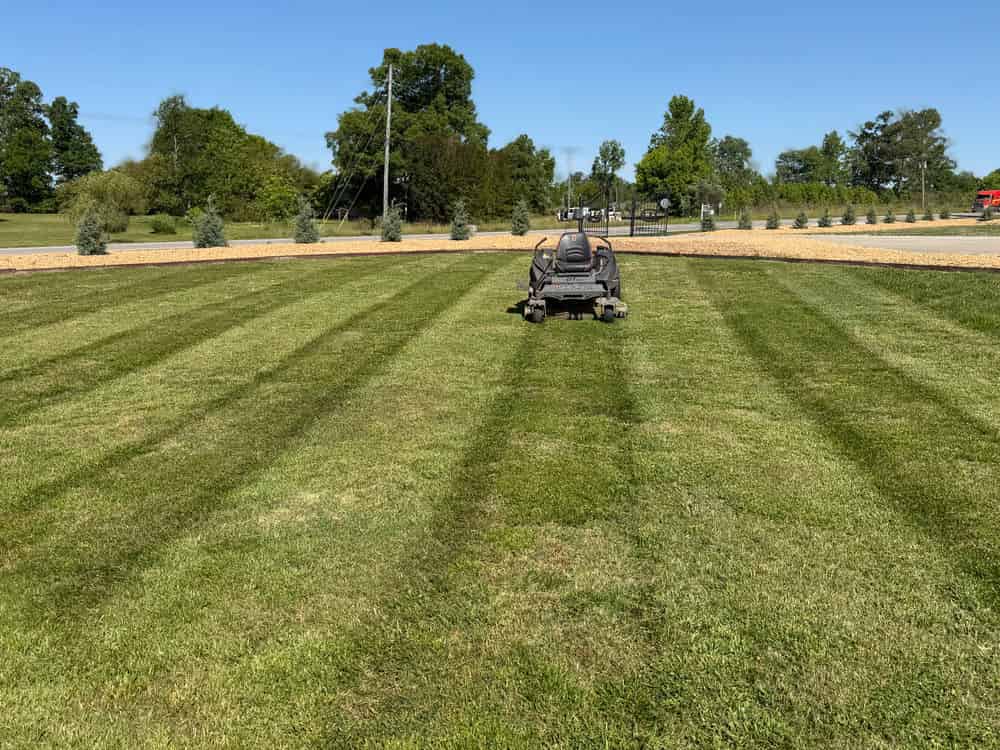Lawn Mowing image