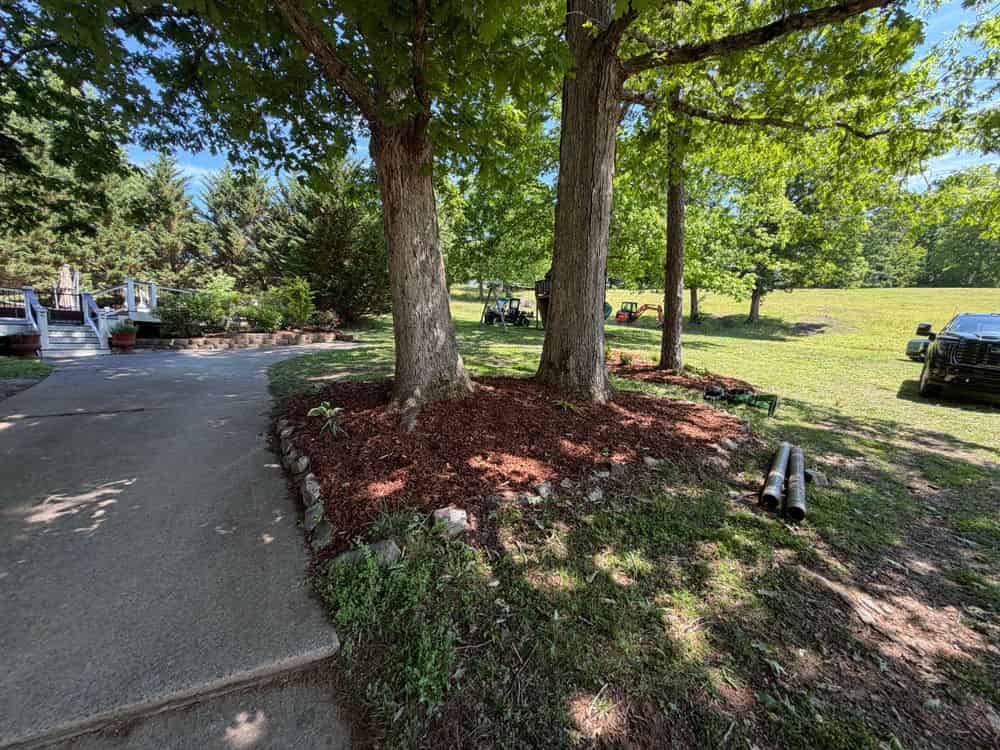 Tree & Shrub Planting image