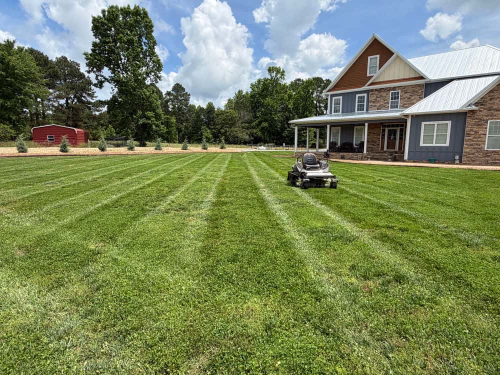 Hero image for Mad Man Property Improvement LLC
